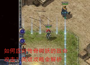 如何应对传奇树妖的致命攻击?高效攻略全解析 如何应对传奇树妖的致命攻击?高效攻略全解析
