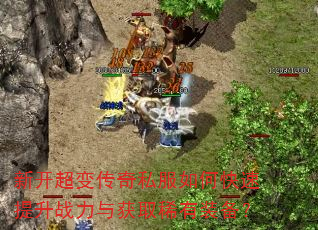 �¿����䴫��˽����ο�������ս�����ȡϡ��װ����