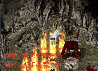 低等级玩家能否升级武器?新手必看攻略 低等级玩家能否升级武器?新手必看攻略