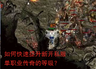 如何快速提升新开私服单职业传奇的等级? 如何快速提升新开私服单职业传奇的等级?