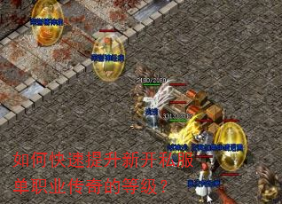 如何快速提升新开私服单职业传奇的等级? 如何快速提升新开私服单职业传奇的等级?