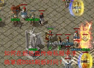 如何在新热血传奇私服中准确掌握BOSS刷新时间? 如何在新热血传奇私服中准确掌握BOSS刷新时间?