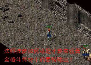 法师技能如何搭配才能实现黄金格斗传奇中的最强输出? 法师技能如何搭配才能实现黄金格斗传奇中的最强输出?