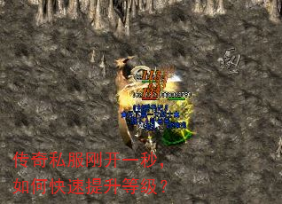 传奇私服刚开一秒,如何快速提升等级? 传奇私服刚开一秒,如何快速提升等级?