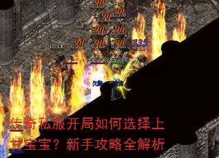 传奇私服开局如何选择上甘宝宝?新手攻略全解析 传奇私服开局如何选择上甘宝宝?新手攻略全解析