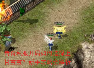 传奇私服开局如何选择上甘宝宝?新手攻略全解析 传奇私服开局如何选择上甘宝宝?新手攻略全解析