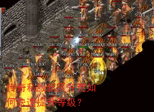 传奇私服新区开荒如何快速提升等级? 传奇私服新区开荒如何快速提升等级?