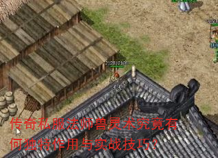 ����˽����ʦ�����������кζ���������ʵս���ɣ�