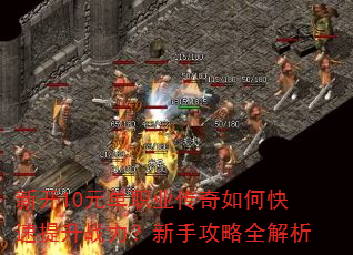 �¿�10Ԫ��ְҵ������ο�������ս�������ֹ���ȫ����
