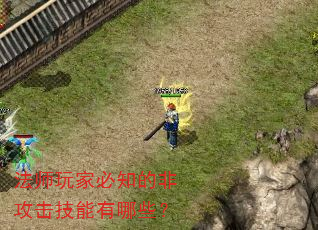 法师玩家必知的非攻击技能有哪些? 法师玩家必知的非攻击技能有哪些?