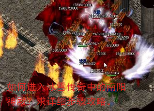 如何进入冰雪传奇中的南阳神殿?求详细步骤攻略。 如何进入冰雪传奇中的南阳神殿?求详细步骤攻略。
