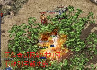 玩传奇新网站时如何有效利用新功能? 玩传奇新网站时如何有效利用新功能?