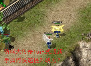 仿盛大传奇15正式版新手如何快速提升战力? 仿盛大传奇15正式版新手如何快速提升战力?