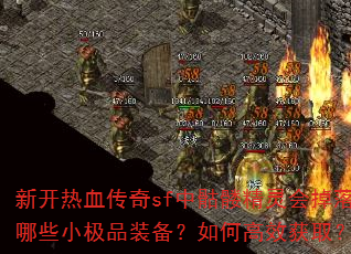 �¿���Ѫ����sf�����þ���������ЩС��Ʒװ������θ�Ч��ȡ��