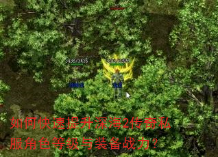 如何快速提升深海2传奇私服角色等级与装备战力? 如何快速提升深海2传奇私服角色等级与装备战力?