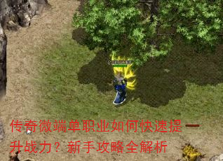 传奇微端单职业如何快速提升战力?新手攻略全解析 传奇微端单职业如何快速提升战力?新手攻略全解析