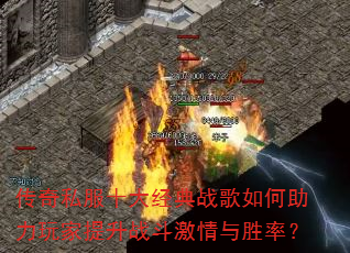����˽��ʮ�󾭵�ս����������������ս��������ʤ�ʣ�
