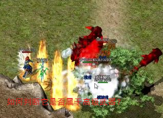 如何判断它是否属于高级武器? 如何判断它是否属于高级武器?