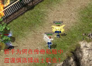 ����Ϊ���ڴ���˽����Ӧ����ѡ��սʿְҵ��