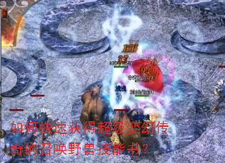 如何快速获得超级变幻传奇的召唤野兽技能书? 如何快速获得超级变幻传奇的召唤野兽技能书?
