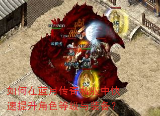 如何在蓝月传奇私服中快速提升角色等级与装备? 如何在蓝月传奇私服中快速提升角色等级与装备?
