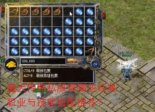 ʢ����˽������Щ����ְҵ�뼼�ܴ����Ƽ���