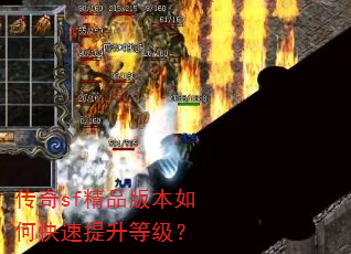 ����sf��Ʒ�汾��ο��������ȼ���