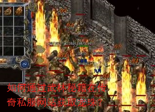 如何通过武林秘籍在传奇私服网站获取龙珠? 如何通过武林秘籍在传奇私服网站获取龙珠?