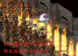 如何通过武林秘籍在传奇私服网站获取龙珠? 如何通过武林秘籍在传奇私服网站获取龙珠?