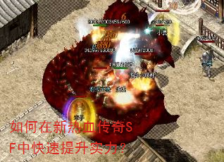 ���������Ѫ����SF�п�������ʵ����