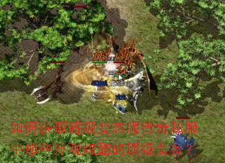 ��λ�ȡ������̬�洫��˽������Щ����ſ�Ķ���װ����