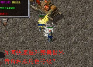如何快速提升完美世界传奇私服角色等级? 如何快速提升完美世界传奇私服角色等级?