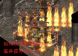 如何快速孵化宠物蛋并提升战斗力? 如何快速孵化宠物蛋并提升战斗力?