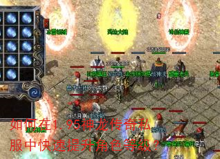 如何在1.95神龙传奇私服中快速提升角色等级? 如何在1.95神龙传奇私服中快速提升角色等级?