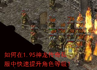 如何在1.95神龙传奇私服中快速提升角色等级? 如何在1.95神龙传奇私服中快速提升角色等级?