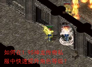 如何在1.95神龙传奇私服中快速提升角色等级? 如何在1.95神龙传奇私服中快速提升角色等级?