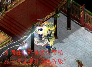 如何在1.95神龙传奇私服中快速提升角色等级? 如何在1.95神龙传奇私服中快速提升角色等级?