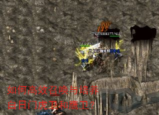 ��θ�Ч�ٻ������������Ż�����ӥ����