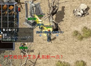 ʬ�����ʬ�����ˢ��һ�Σ�