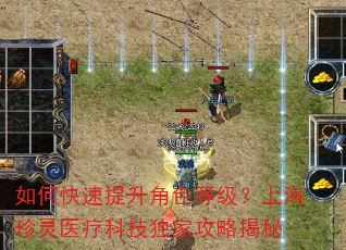 如何快速提升角色等级?上海珍灵医疗科技独家攻略揭秘 如何快速提升角色等级?上海珍灵医疗科技独家攻略揭秘