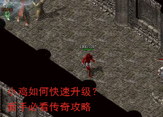 小鸡如何快速升级?新手必看传奇攻略 小鸡如何快速升级?新手必看传奇攻略