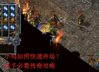 小鸡如何快速升级?新手必看传奇攻略 小鸡如何快速升级?新手必看传奇攻略