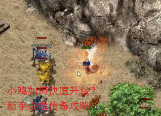 小鸡如何快速升级?新手必看传奇攻略 小鸡如何快速升级?新手必看传奇攻略