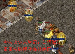 �������������ǣ����ͨ�����ؿ�������ɭ�ּ�԰��
