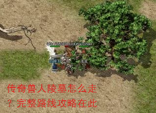 传奇兽人陵墓怎么走?完整路线攻略在此 传奇兽人陵墓怎么走?完整路线攻略在此