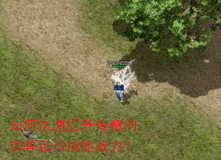 如何快速提升传奇内功等级与技能威力? 如何快速提升传奇内功等级与技能威力?