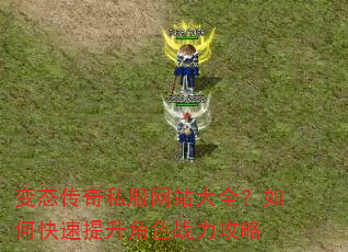 变态传奇私服网站大全?如何快速提升角色战力攻略 变态传奇私服网站大全?如何快速提升角色战力攻略