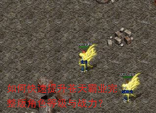 如何快速提升苍天霸业完整版角色等级与战力? 如何快速提升苍天霸业完整版角色等级与战力?
