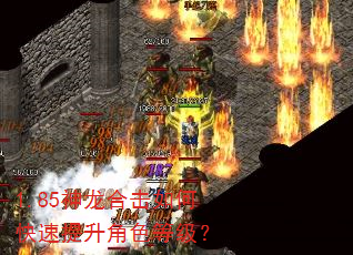 1.85神龙合击如何快速提升角色等级? 1.85神龙合击如何快速提升角色等级?
