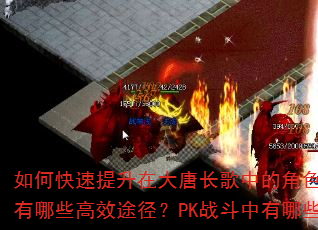如何快速提升在大唐长歌中的角色等级?装备获取有哪些高效途径?PK战斗中有哪些实用技巧? 如何快速提升在大唐长歌中的角色等级?装备获取有哪些高效途径?PK战斗中有哪些实用技巧?